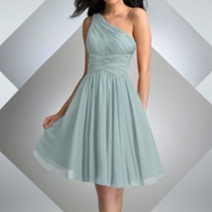 Bari Jay Chiffon Dress Size 12 Eggplant